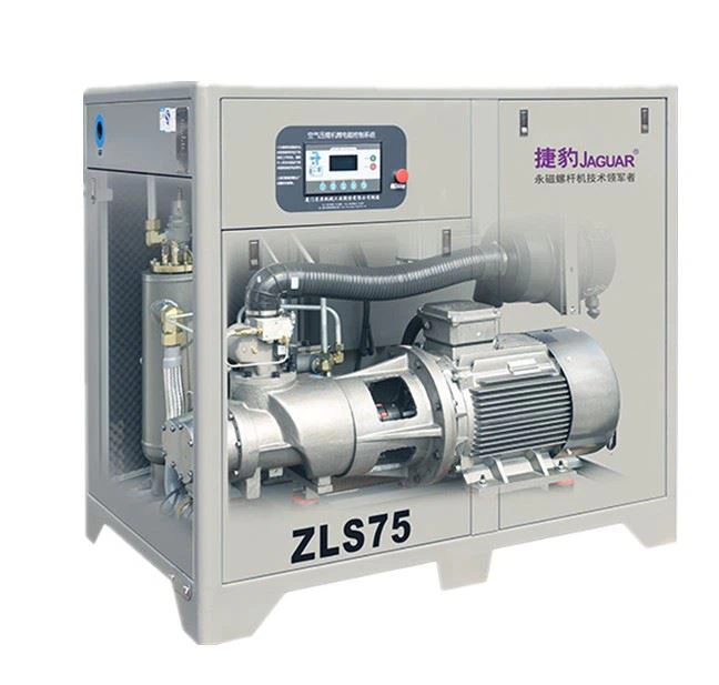 inside view of Jaguar screw air compressor